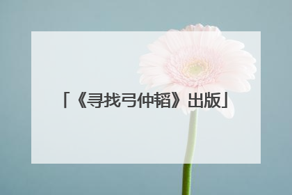 《寻找弓仲韬》出版