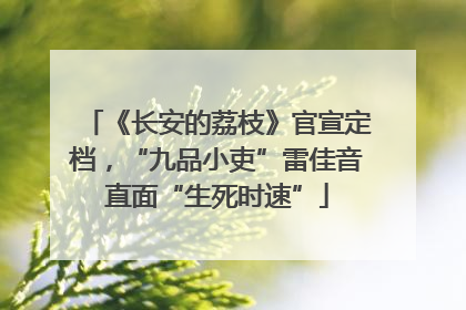 《长安的荔枝》官宣定档，“九品小吏”雷佳音直面“生死时速”