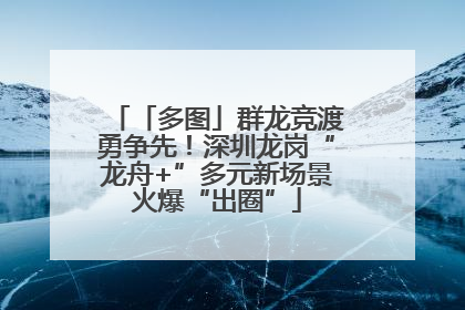 「多图」群龙竞渡勇争先！深圳龙岗“龙舟+”多元新场景火爆“出圈”