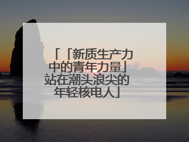「新质生产力中的青年力量」站在潮头浪尖的年轻核电人