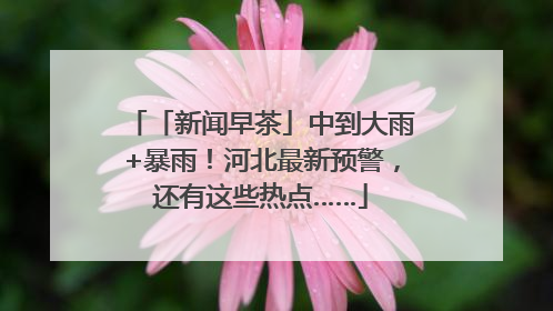 「新闻早茶」中到大雨+暴雨！河北最新预警，还有这些热点……