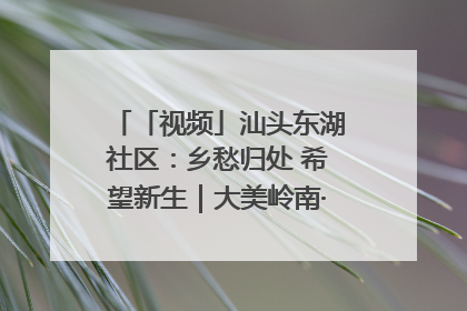 「视频」汕头东湖社区：乡愁归处 希望新生｜大美岭南·百村焕新记