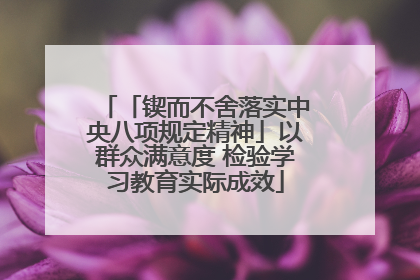 「锲而不舍落实中央八项规定精神」以群众满意度 检验学习教育实际成效