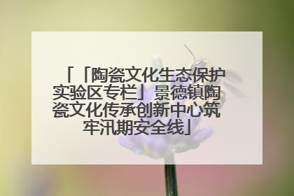 「陶瓷文化生态保护实验区专栏」景德镇陶瓷文化传承创新中心筑牢汛期安全线