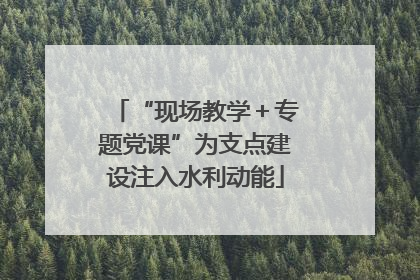“现场教学＋专题党课”为支点建设注入水利动能