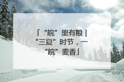 “皖”里有粮｜“三夏”时节，一“皖”麦香