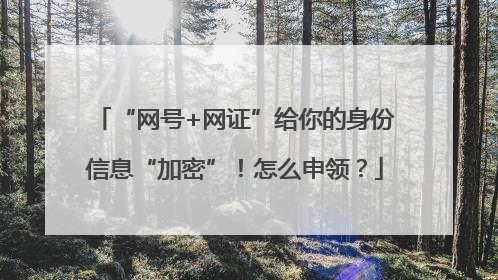 “网号+网证”给你的身份信息“加密”！怎么申领？