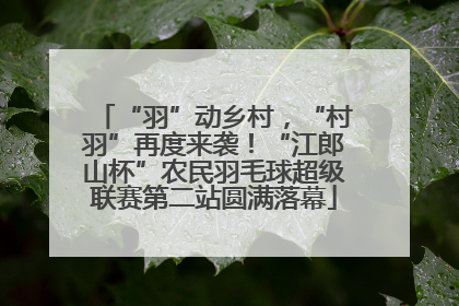 “羽”动乡村，“村羽”再度来袭！“江郎山杯”农民羽毛球超级联赛第二站圆满落幕