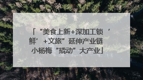 “美食上新+深加工锁‘鲜’+文旅”延伸产业链 小杨梅“撬动”大产业