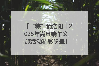 “粽”情洛阳丨2025年嵩县端午文旅活动精彩纷呈