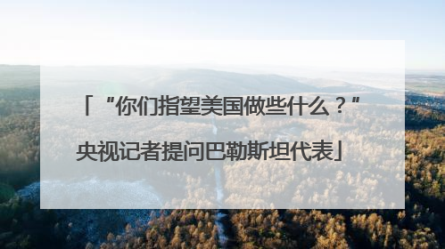 “你们指望美国做些什么？”央视记者提问巴勒斯坦代表