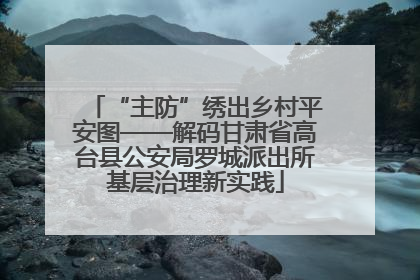 “主防”绣出乡村平安图——解码甘肃省高台县公安局罗城派出所基层治理新实践