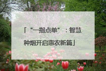 “一指点单”：智慧种烟开启惠农新篇