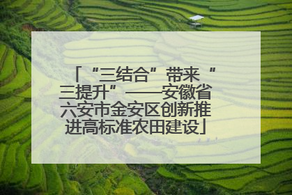 “三结合”带来“三提升”——安徽省六安市金安区创新推进高标准农田建设
