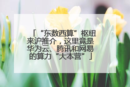“东数西算”枢纽来沪推介，这里竟是华为云、腾讯和网易的算力“大本营”