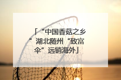 “中国香菇之乡”湖北随州“致富伞”远销海外