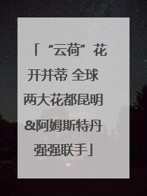 “云荷”花开并蒂 全球两大花都昆明&阿姆斯特丹强强联手