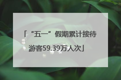 “五一”假期累计接待游客59.39万人次