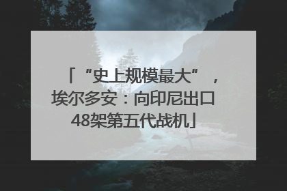 “史上规模最大”，埃尔多安：向印尼出口48架第五代战机