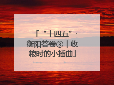 “十四五”·衡阳答卷③｜收粮时的小插曲