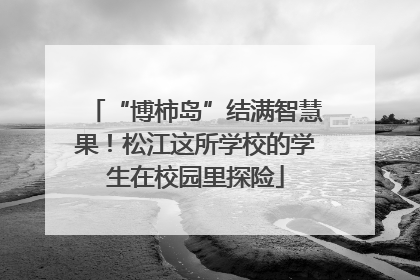 “博柿岛”结满智慧果！松江这所学校的学生在校园里探险