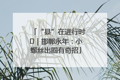 “县”在进行时⑬｜邯郸永年：小螺丝出圈有奇招