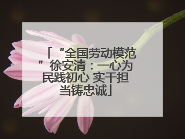 “全国劳动模范”徐安清：一心为民践初心 实干担当铸忠诚