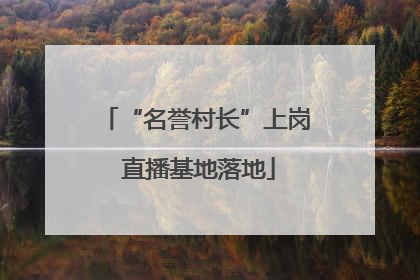 “名誉村长”上岗 直播基地落地