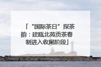 “国际茶日”探茶韵：建瓯北苑贡茶春制进入收尾阶段