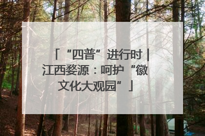“四普”进行时｜江西婺源：呵护“徽文化大观园”