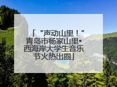 “声动山里！”青岛市杨家山里•西海岸大学生音乐节火热出圈