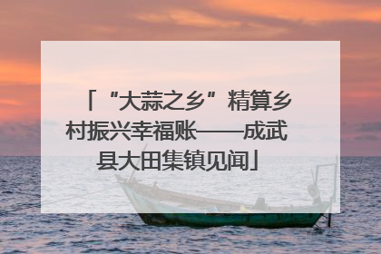 “大蒜之乡”精算乡村振兴幸福账——成武县大田集镇见闻