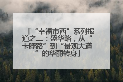 “幸福市西”系列报道之二：盛华路，从“卡脖路”到“景观大道”的华丽转身
