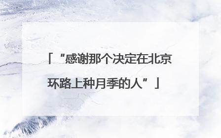“感谢那个决定在北京环路上种月季的人”