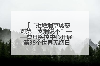 “拒绝烟草诱惑 对第一支烟说不”——曹县疾控中心开展第38个世界无烟日科普宣传活动