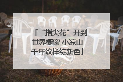 “指尖花”开到世界橱窗 小凉山千年纹样绽新色