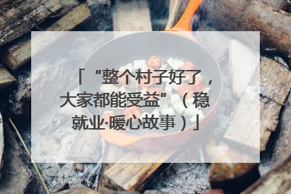 “整个村子好了，大家都能受益”（稳就业·暖心故事）