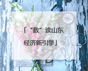 “数”读山东经济新引擎