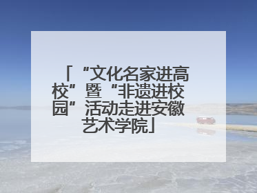 “文化名家进高校”暨“非遗进校园”活动走进安徽艺术学院
