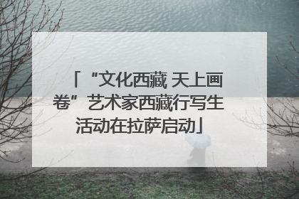 “文化西藏 天上画卷”艺术家西藏行写生活动在拉萨启动