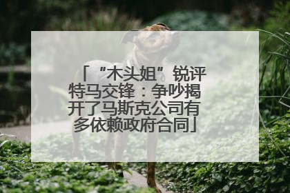 “木头姐”锐评特马交锋：争吵揭开了马斯克公司有多依赖政府合同