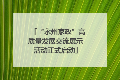 “永州家政”高质量发展交流展示活动正式启动