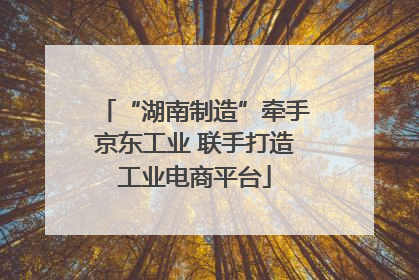 “湖南制造”牵手京东工业 联手打造工业电商平台