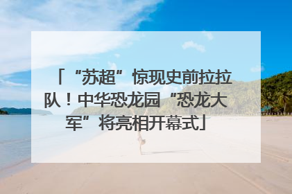 “苏超”惊现史前拉拉队！中华恐龙园“恐龙大军”将亮相开幕式