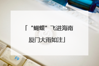 “蝴蝶”飞进海南 厦门大雨如注
