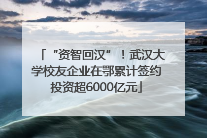 “资智回汉”！武汉大学校友企业在鄂累计签约投资超6000亿元