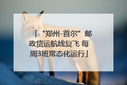 “郑州-首尔”邮政货运航线复飞 每周3班常态化运行