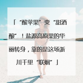 “酸苹果”变“甜酒酿”！盐源高原果的华丽转身，靠的是这场浙川千里“联姻”