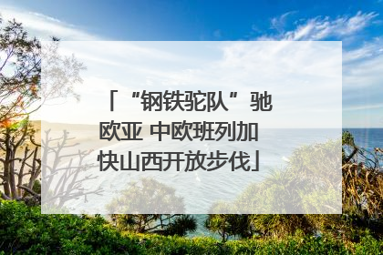 “钢铁驼队”驰欧亚 中欧班列加快山西开放步伐