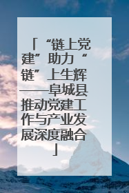 “链上党建”助力“链”上生辉——阜城县推动党建工作与产业发展深度融合
